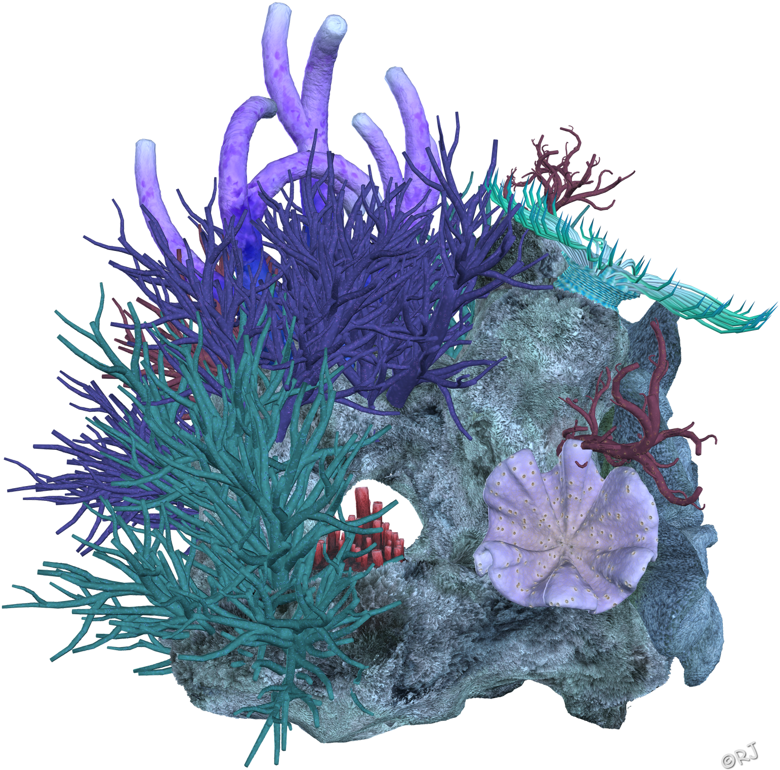 Colorful Coral Reef Illustration PNG Image