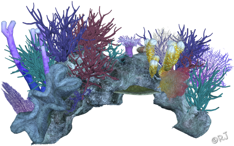 Colorful_ Coral_ Reef_ Simulation PNG Image