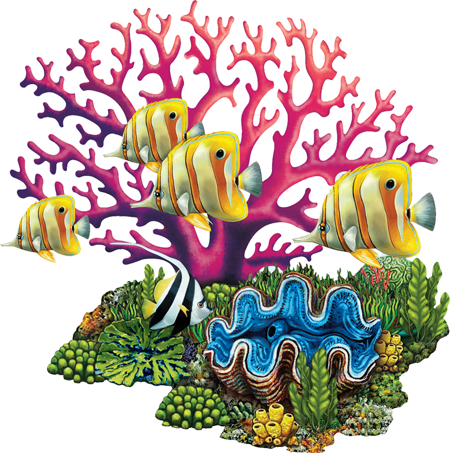 Colorful_ Coral_ Reef_with_ Tropical_ Fish PNG Image