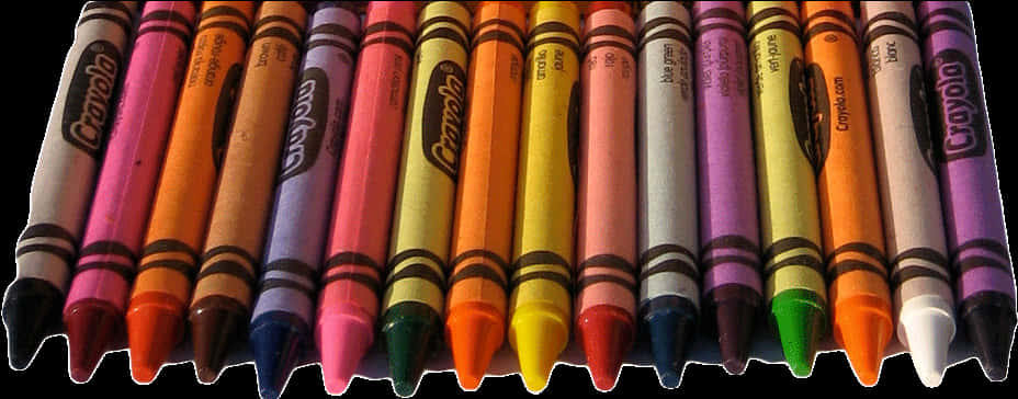 Colorful Crayola Crayons Array PNG Image