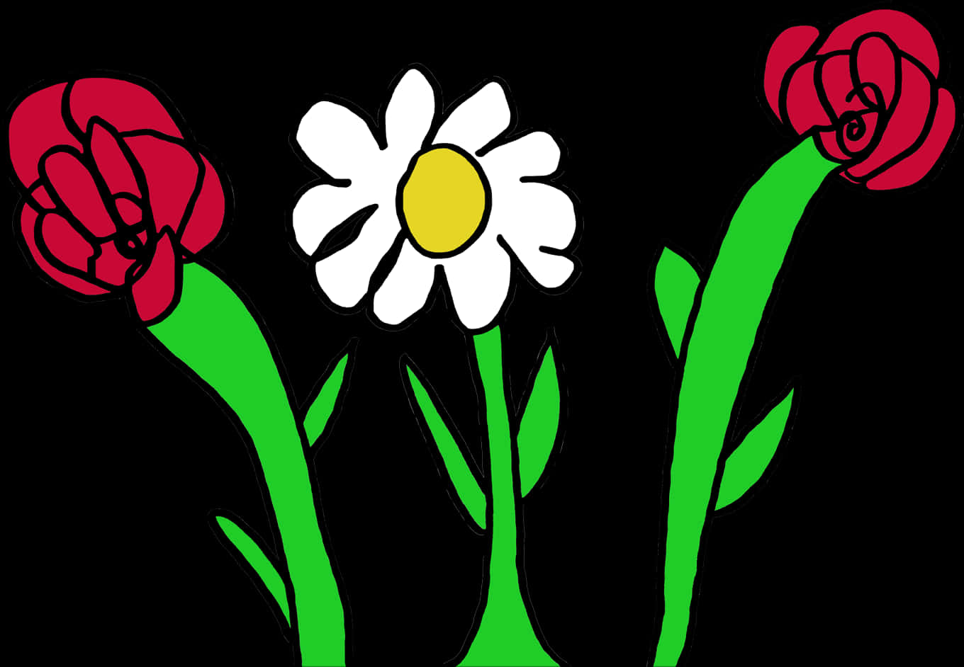 Colorful Daisyand Roses Illustration PNG Image