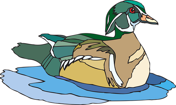 Colorful Duck On Water Illustration PNG Image