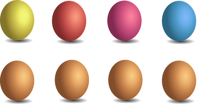 Colorful Egg Collection PNG Image