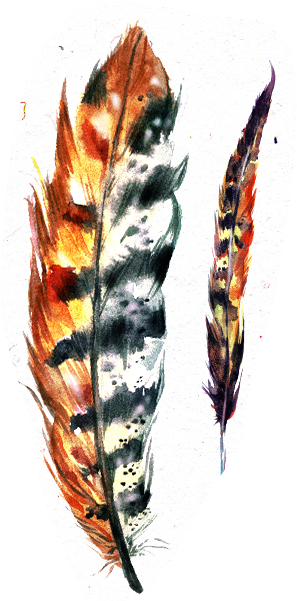 Colorful Feather Artwork.png PNG Image