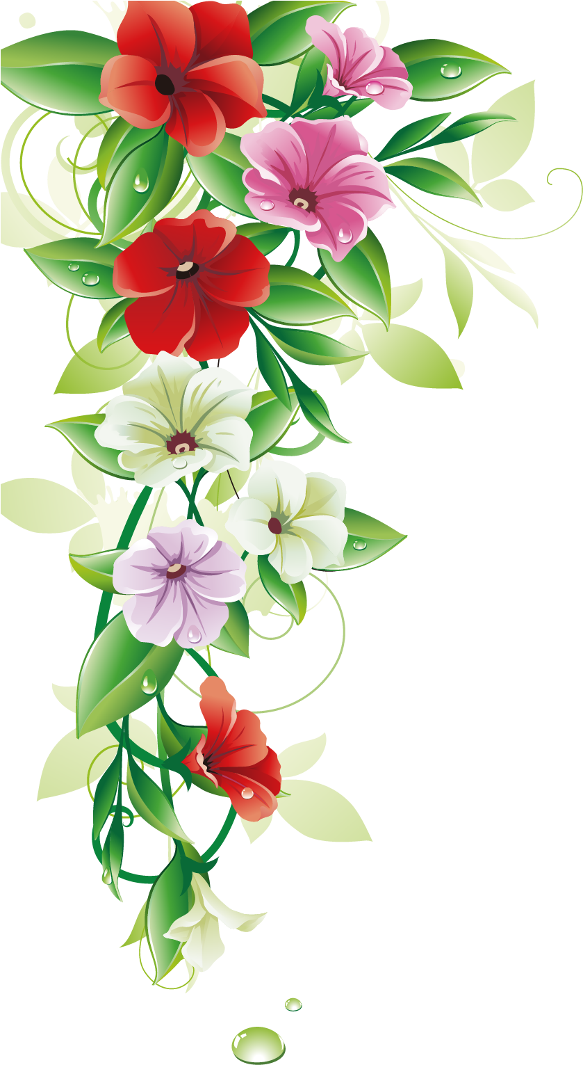 Colorful Floral Arrangement Graphic PNG Image