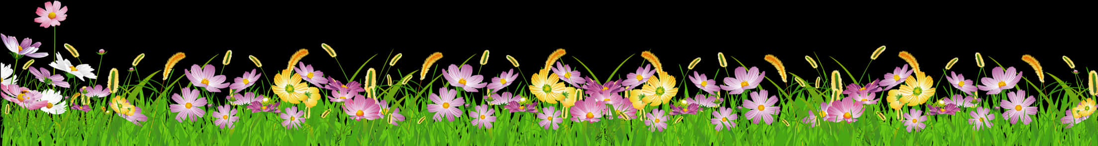 Colorful Flower Border Design PNG Image