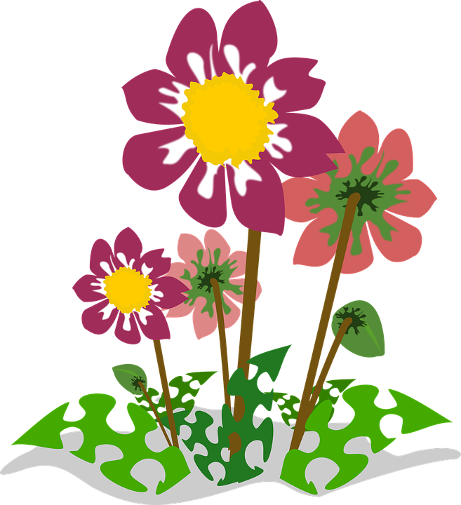 Colorful Flowers Illustration PNG Image