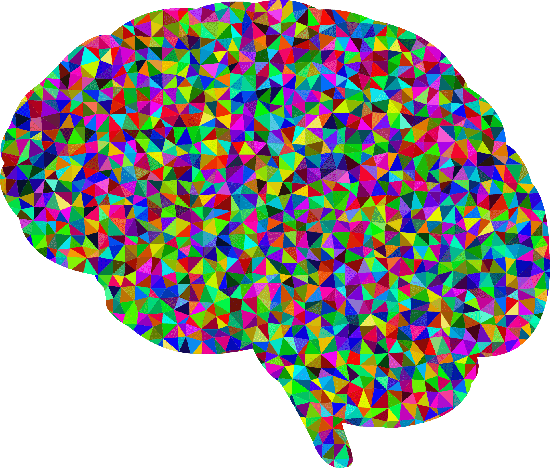 Colorful Geometric Brain Pattern PNG Image