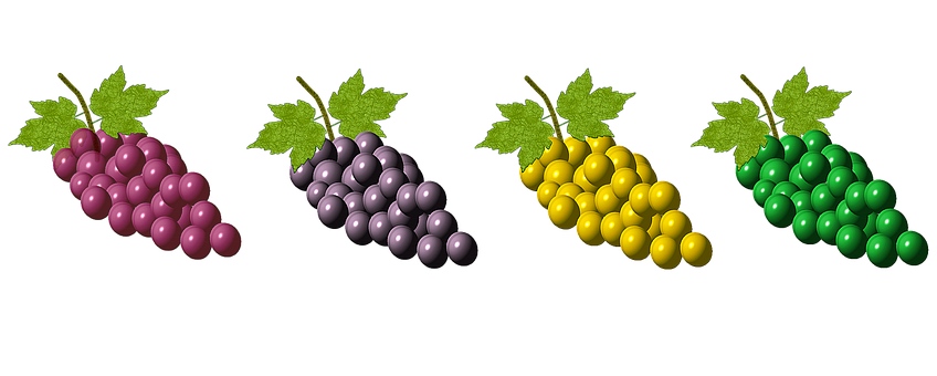 Colorful Grape Bunches Array PNG Image