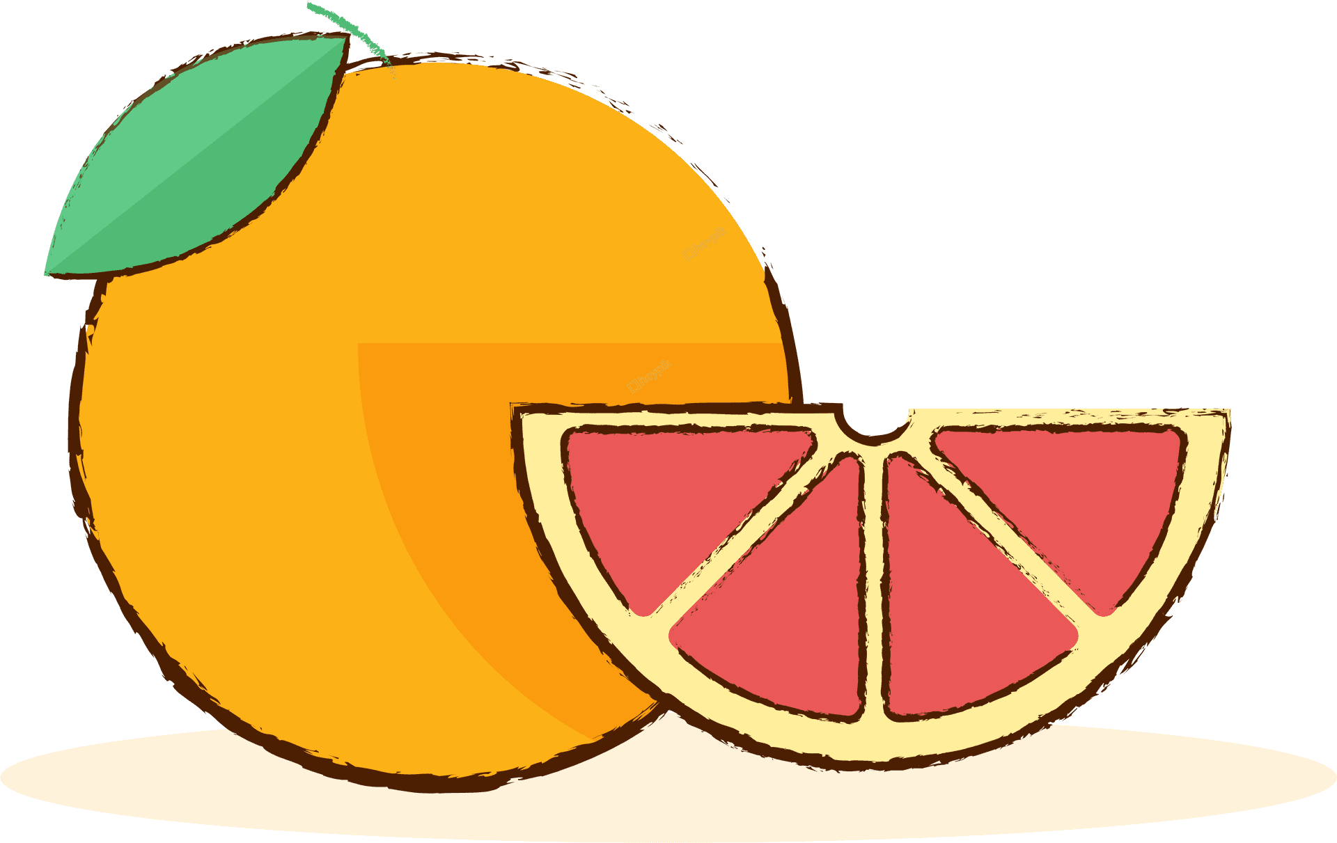 Colorful Grapefruit Illustration PNG Image