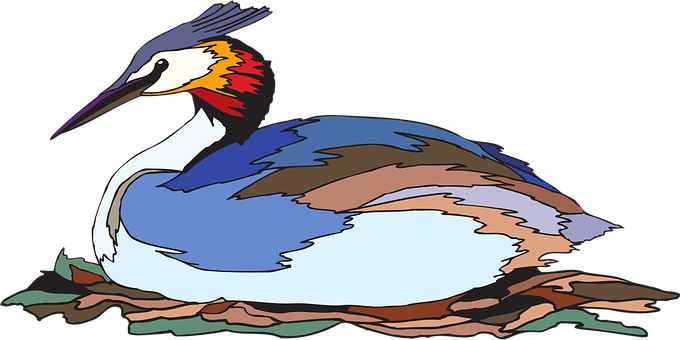 Colorful Grebe Illustration PNG Image