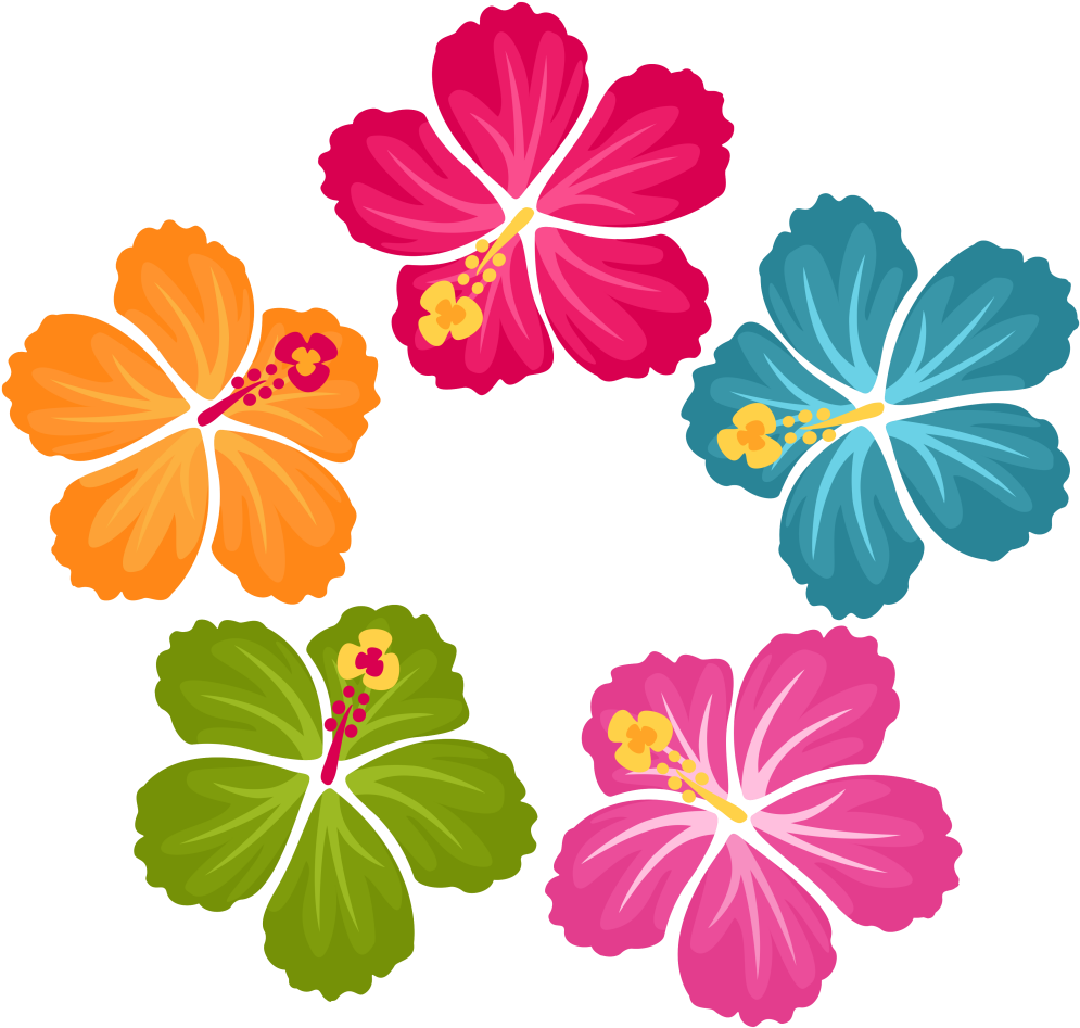 Colorful_ Hawaiian_ Hibiscus_ Flowers_ Vector PNG Image