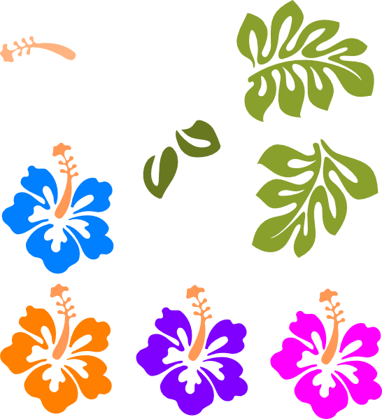 Colorful Hibiscus Flower Outlines PNG Image