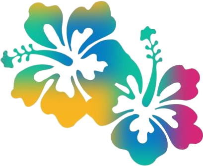 Colorful Hibiscus Silhouette Graphic PNG Image