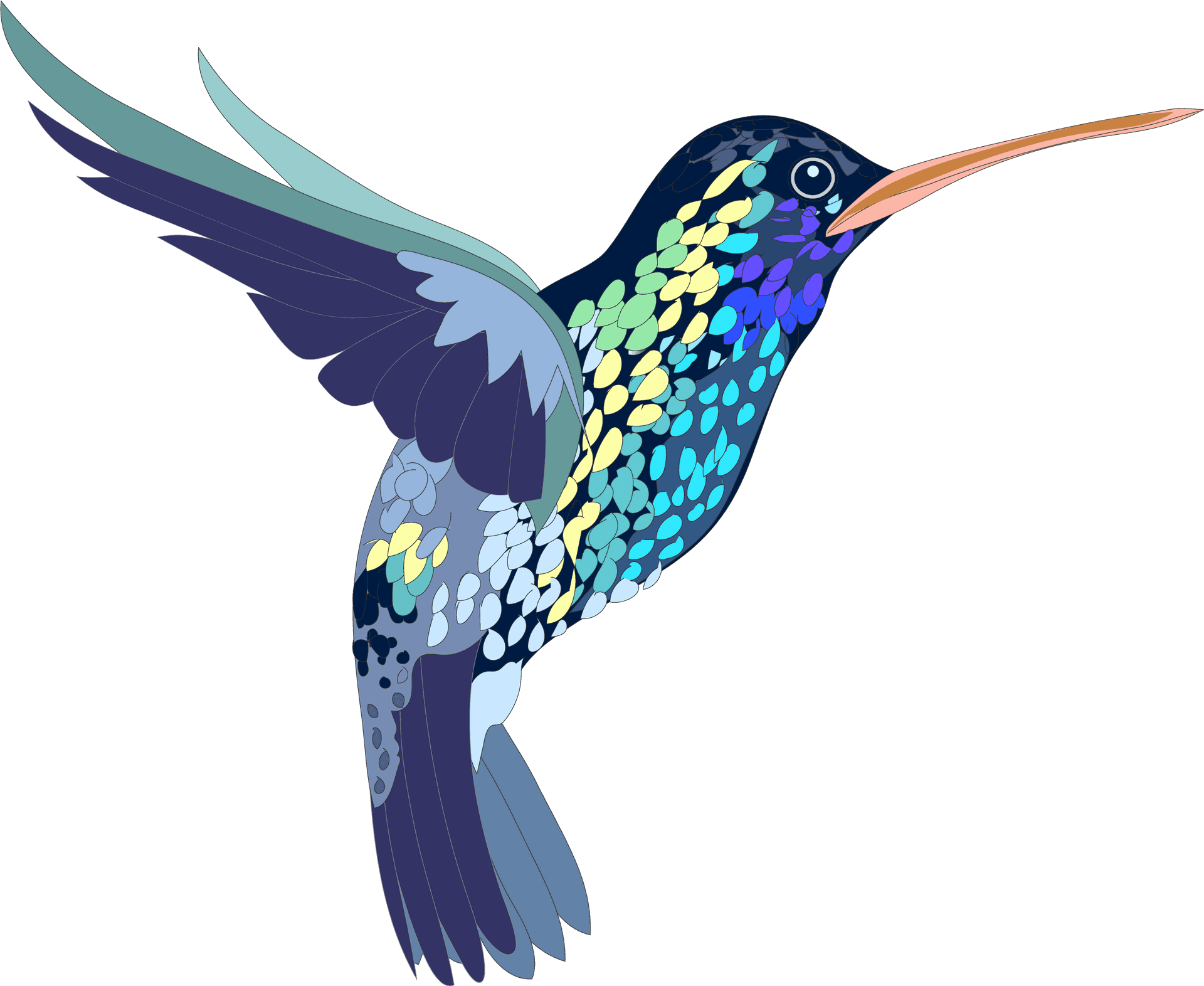 Colorful Hummingbird Illustration PNG Image