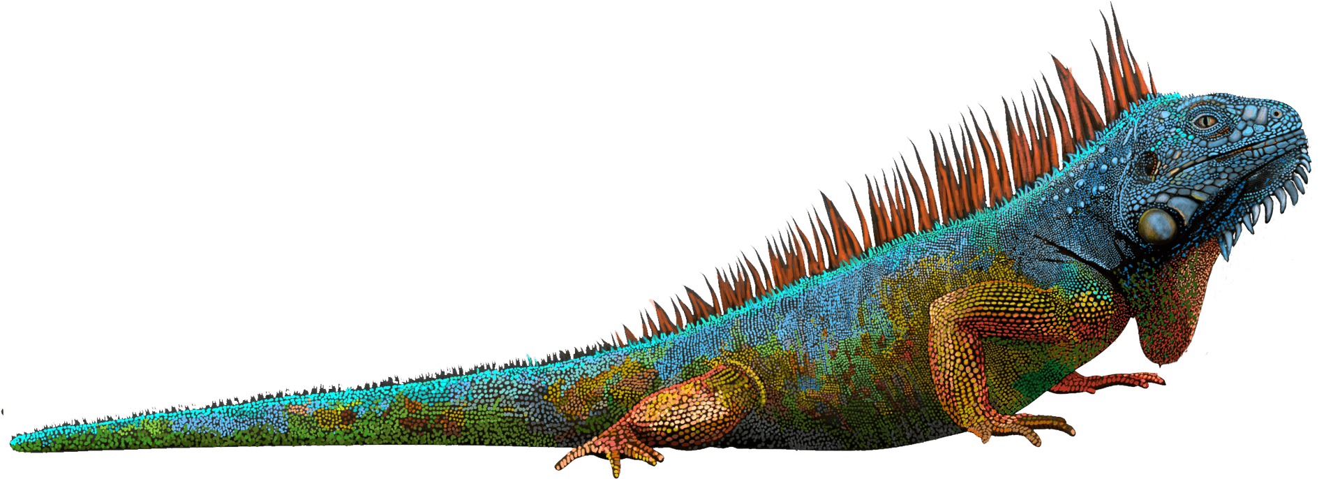 Colorful Iguana Profile PNG Image