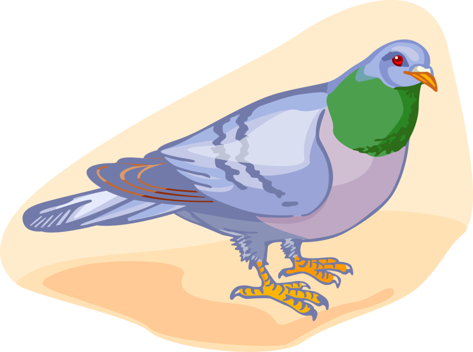 Colorful Illustrated Pigeon PNG Image