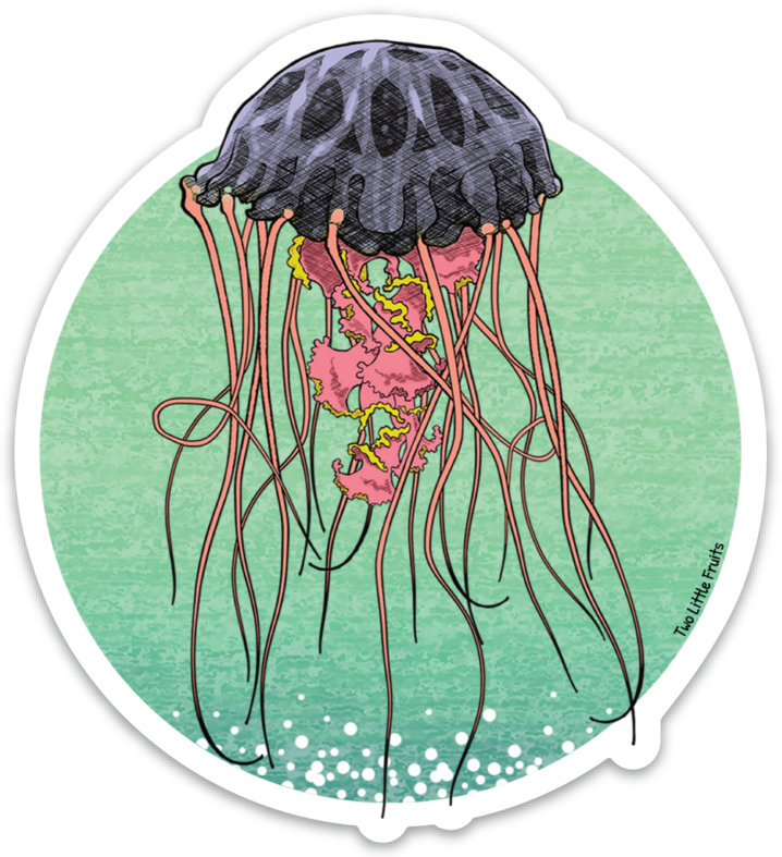 Colorful Jellyfish Illustration PNG Image