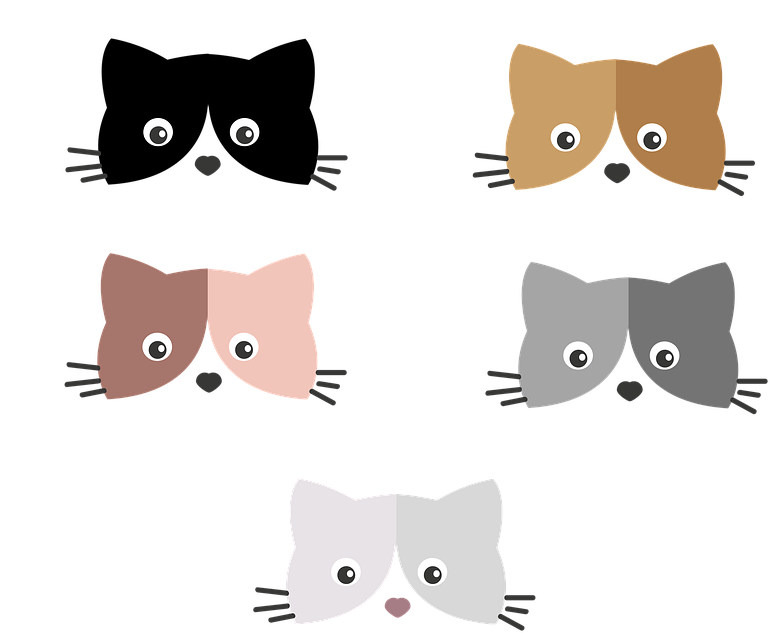 Colorful_ Kitten_ Faces_ Vector_ Illustration PNG Image