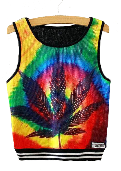 Colorful Leaf Print Crop Top PNG Image