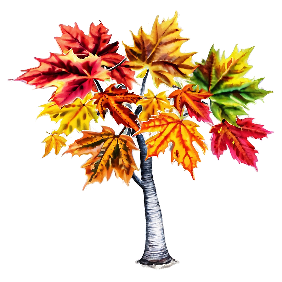 Colorful Maple Trees Png Eot PNG Image