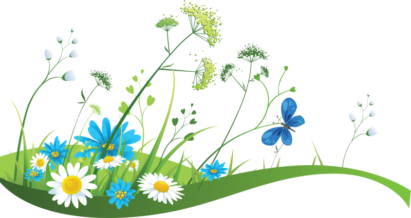 Colorful Meadow Flowersand Butterfly PNG Image