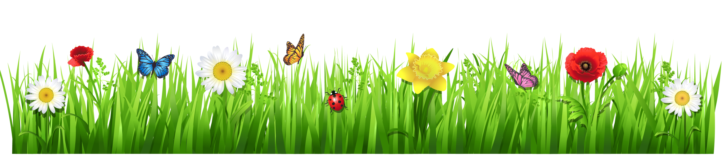 Colorful Meadow Flowersand Insects PNG Image