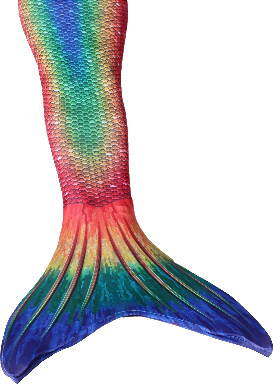 Colorful Mermaid Tail PNG Image