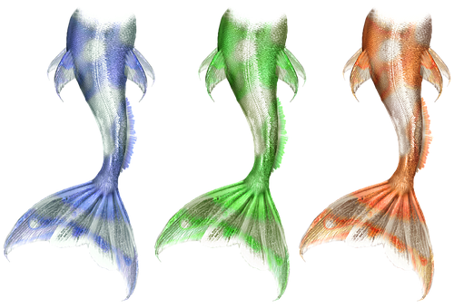 Colorful_ Mermaid_ Tails_ Collection PNG Image