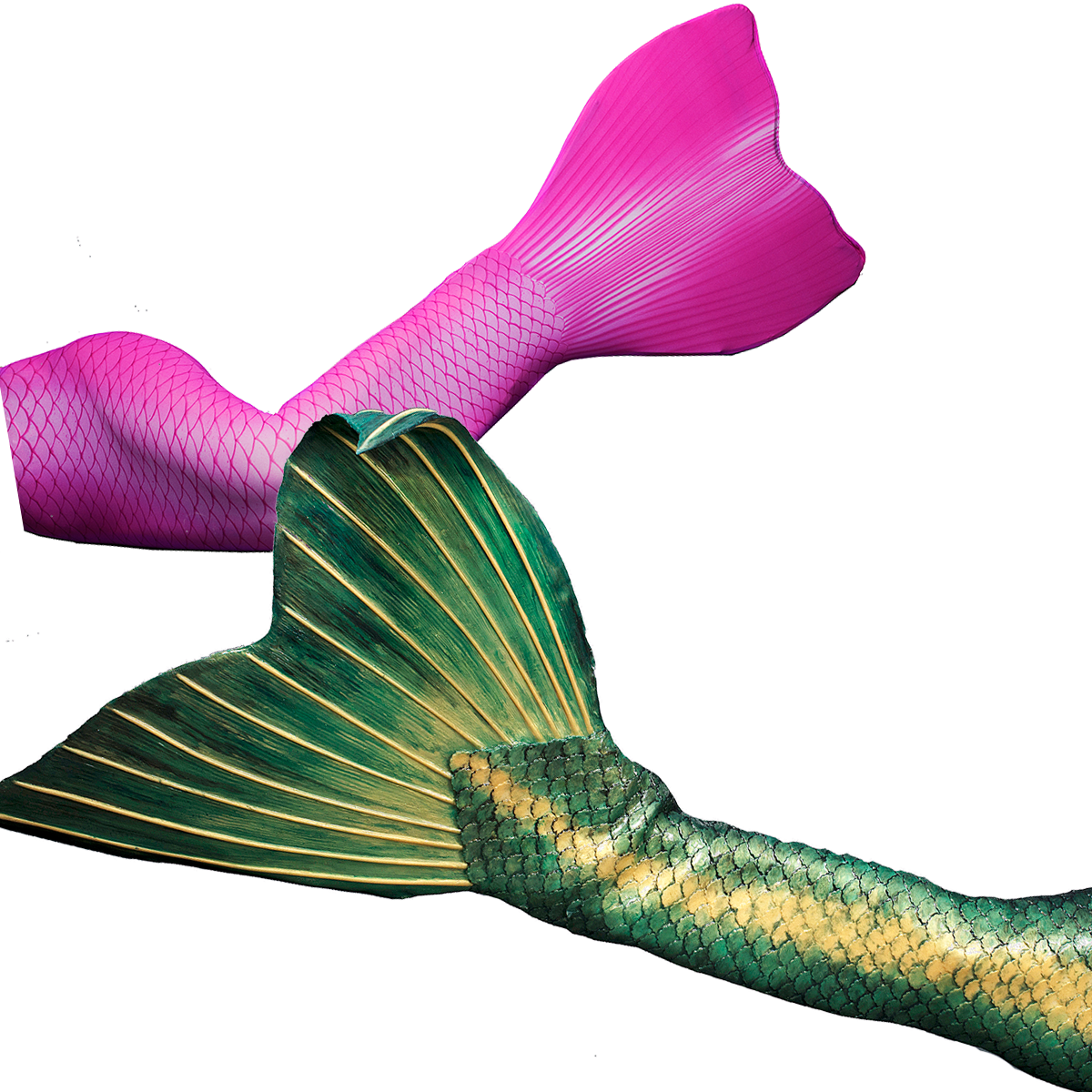 Colorful Mermaid Tails Graphic PNG Image