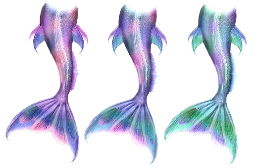 Colorful Mermaid Tails Triptych PNG Image