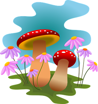 Colorful Mushroomsand Flowers Illustration PNG Image