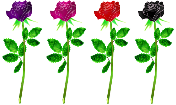 Colorful Neon Roses Vector Illustration PNG Image