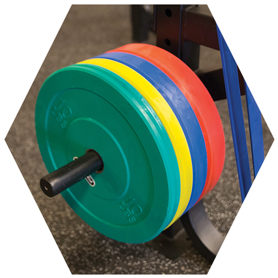 Colorful Olympic Weight Plates PNG Image