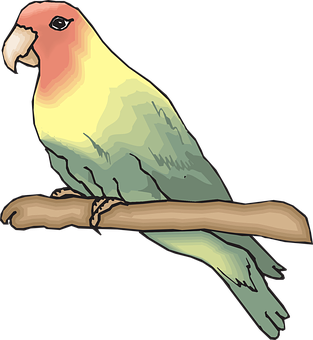 Colorful Parakeet Illustration PNG Image