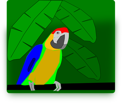 Colorful Parrot Illustration PNG Image