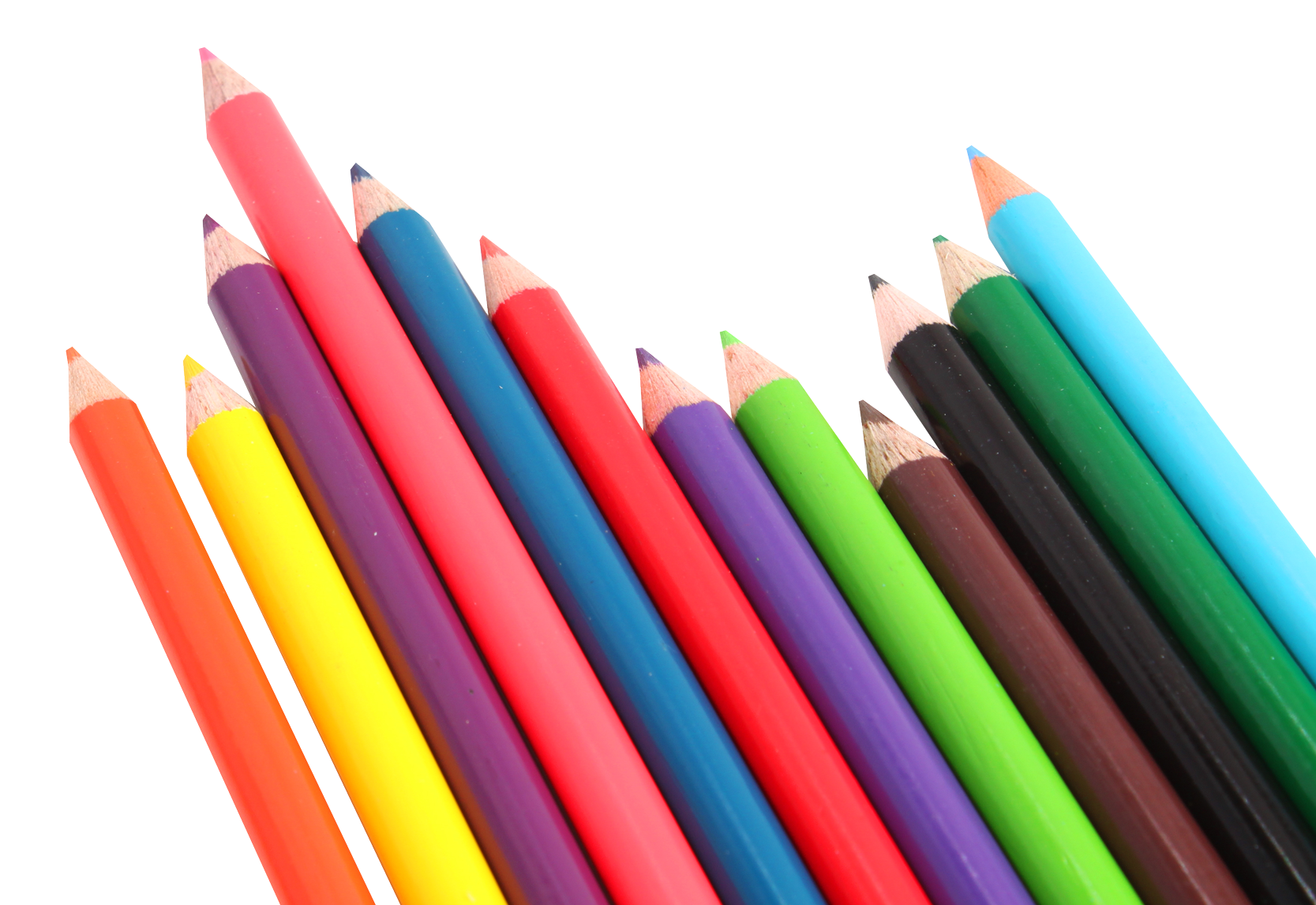 Colorful Pencils Arrangement PNG Image