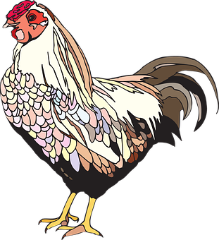 Colorful Rooster Illustration PNG Image