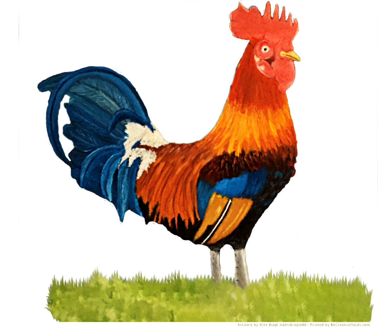 Colorful Rooster Standing PNG Image