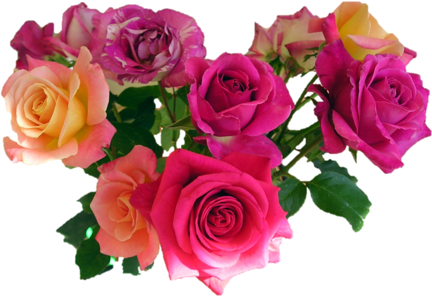 Colorful Rose Bouquet Transparent Background PNG Image