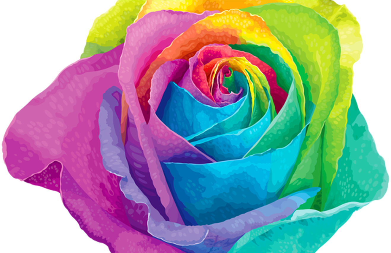 Colorful Rose Vector Art PNG Image