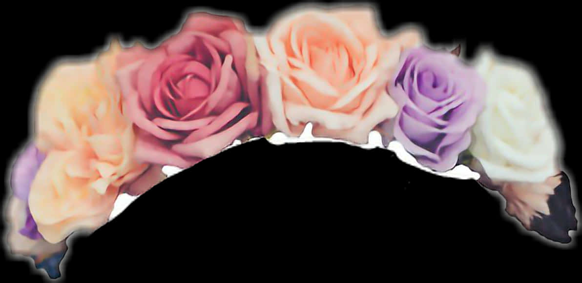 Colorful Roses Gradient Background PNG Image