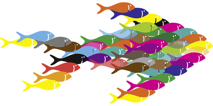 Colorful Schoolof Fish Illustration PNG Image