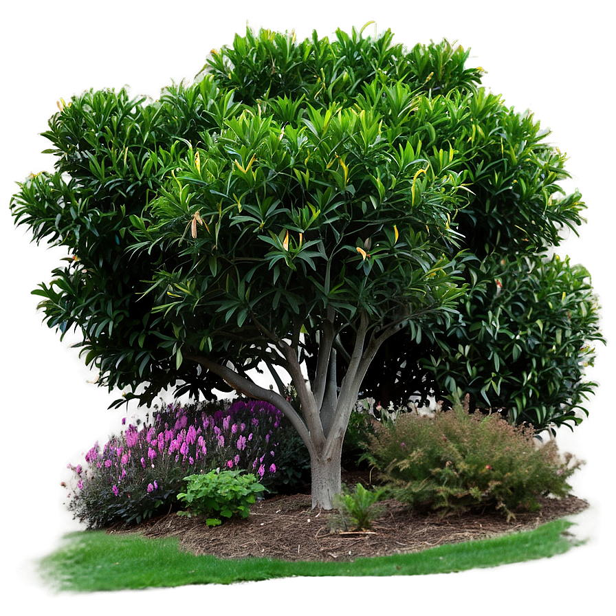 Colorful Shrubs Png Anb83 PNG Image