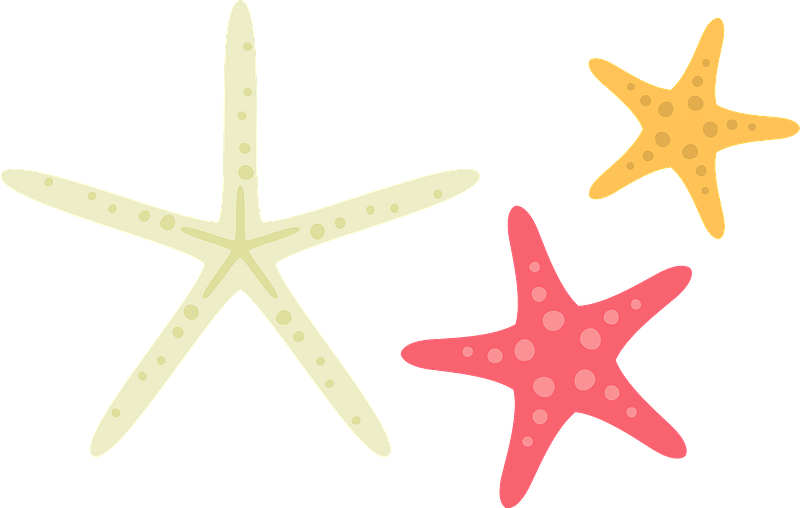 Colorful Starfish Clipart PNG Image