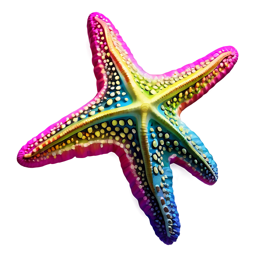 Colorful Starfish Illustration Png Pbq94 PNG Image