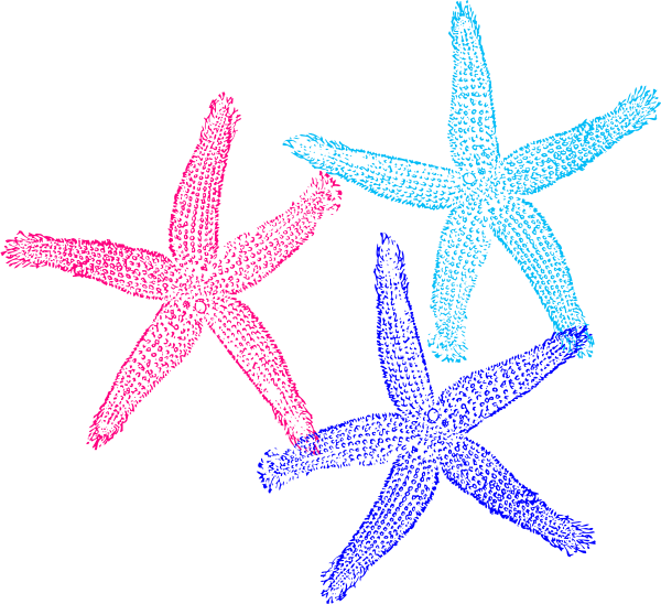 Colorful Starfish Trio Clipart PNG Image