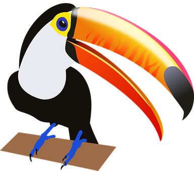 Colorful Toucan Vector Illustration PNG Image