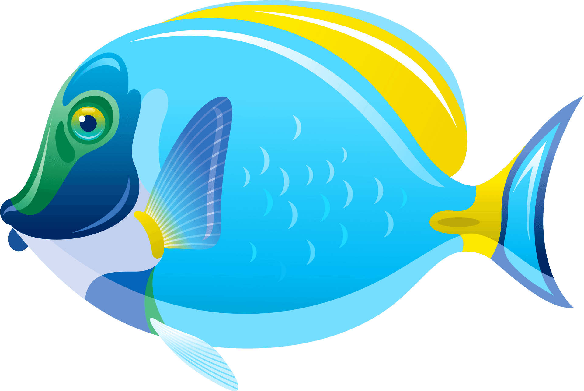 Colorful Tropical Fish Illustration PNG Image