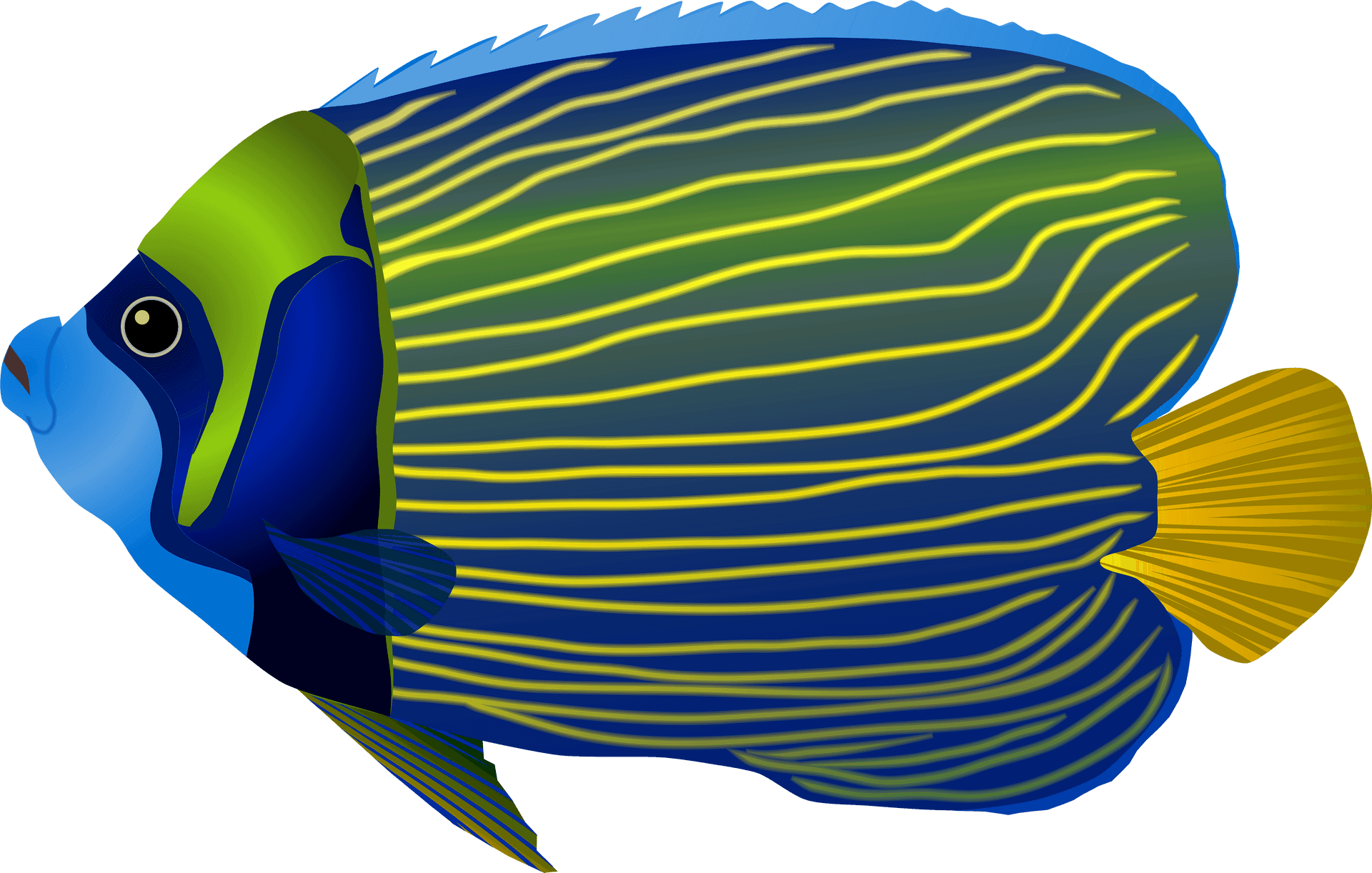 Colorful Tropical Fish Illustration PNG Image